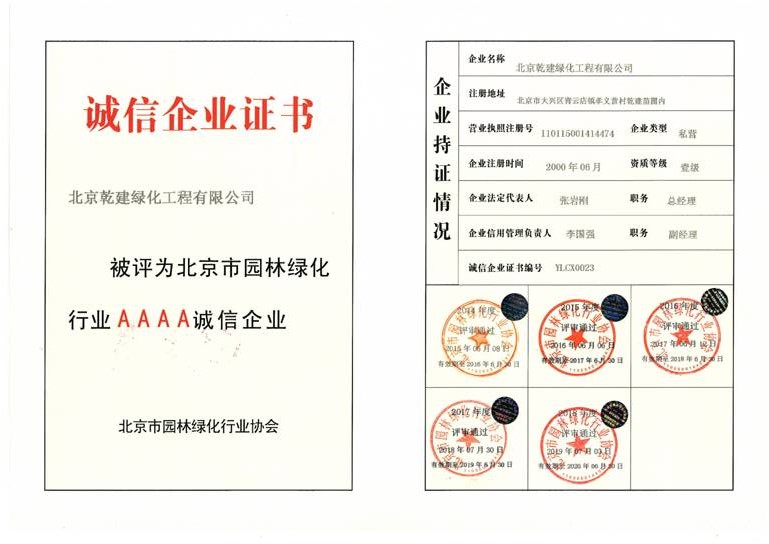 20210817182421_31707 诚信证书2019