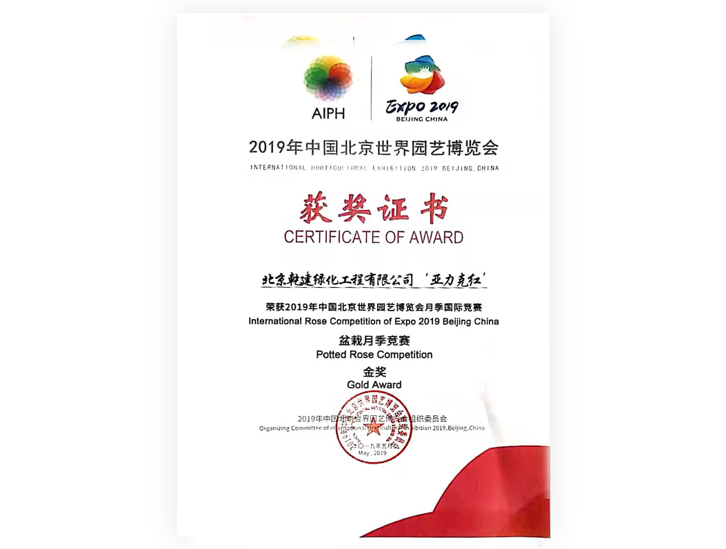 20210820092859_15957 2019-月季“亚克力红”-金奖