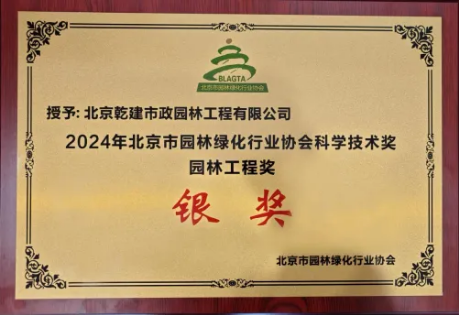 年度盘点 埋头前行不止步，携手共进创新程